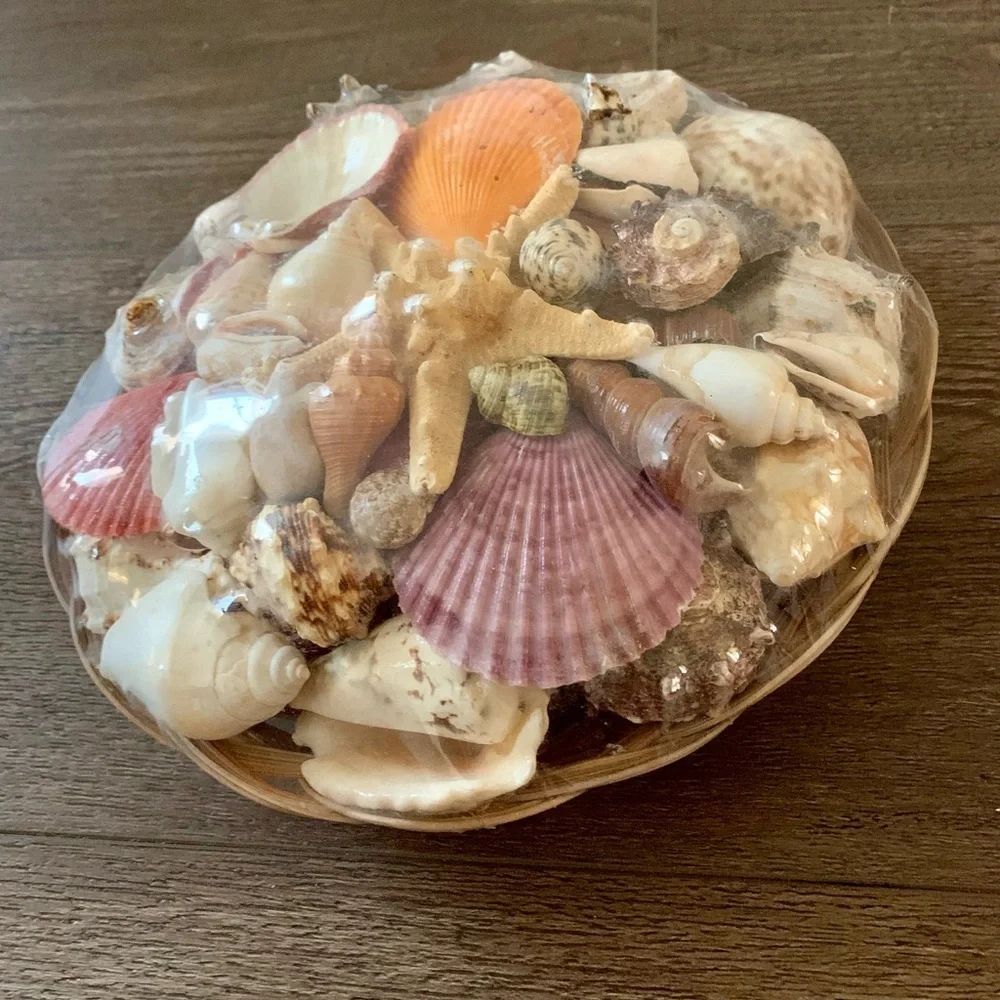 Beach Basket assorted sea Shells